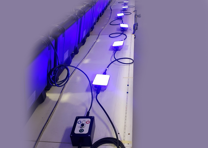 Blue LED light system